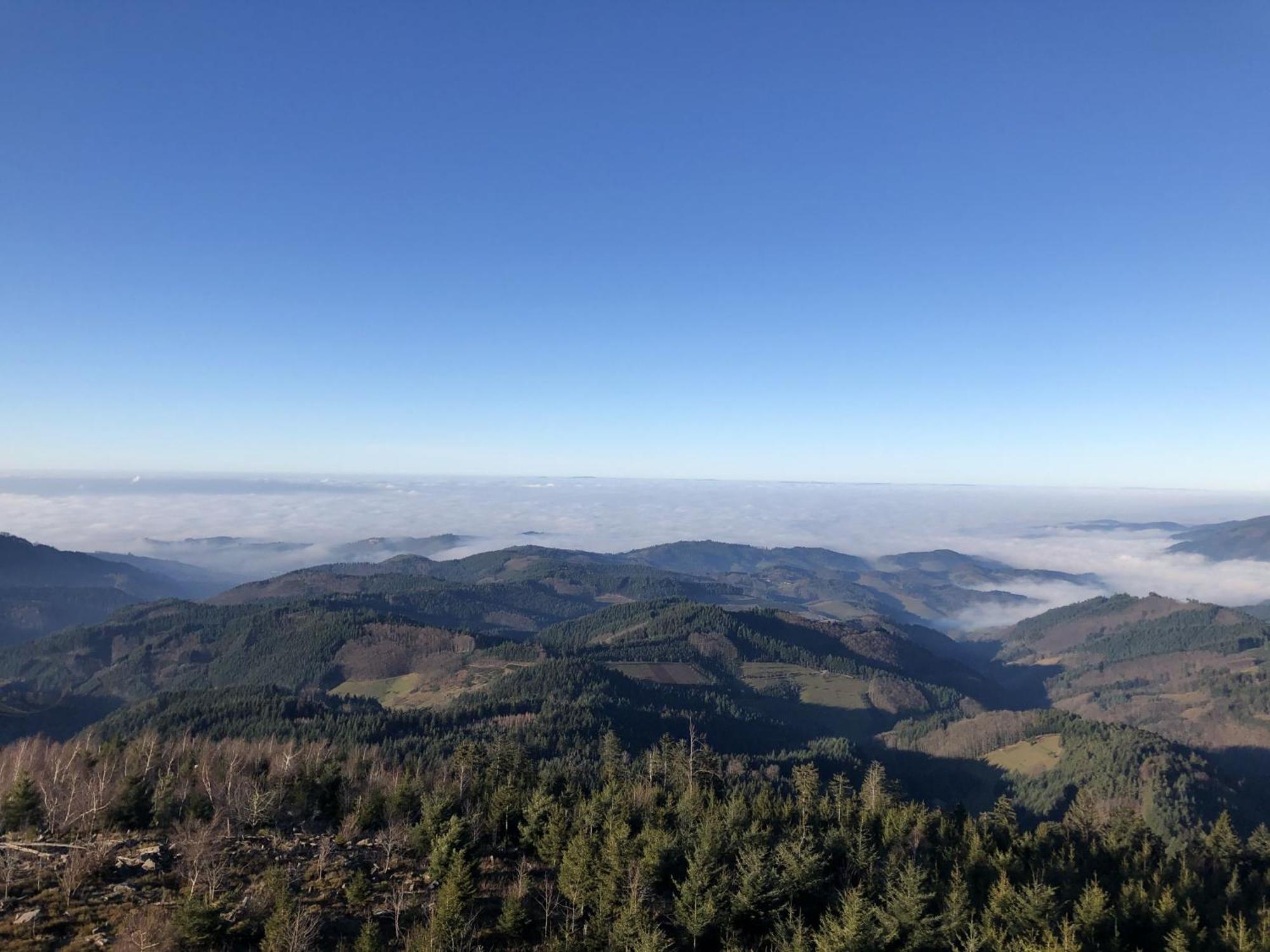 Ferienwohnungen Golla-Lang Oberharmersbach Esterno foto