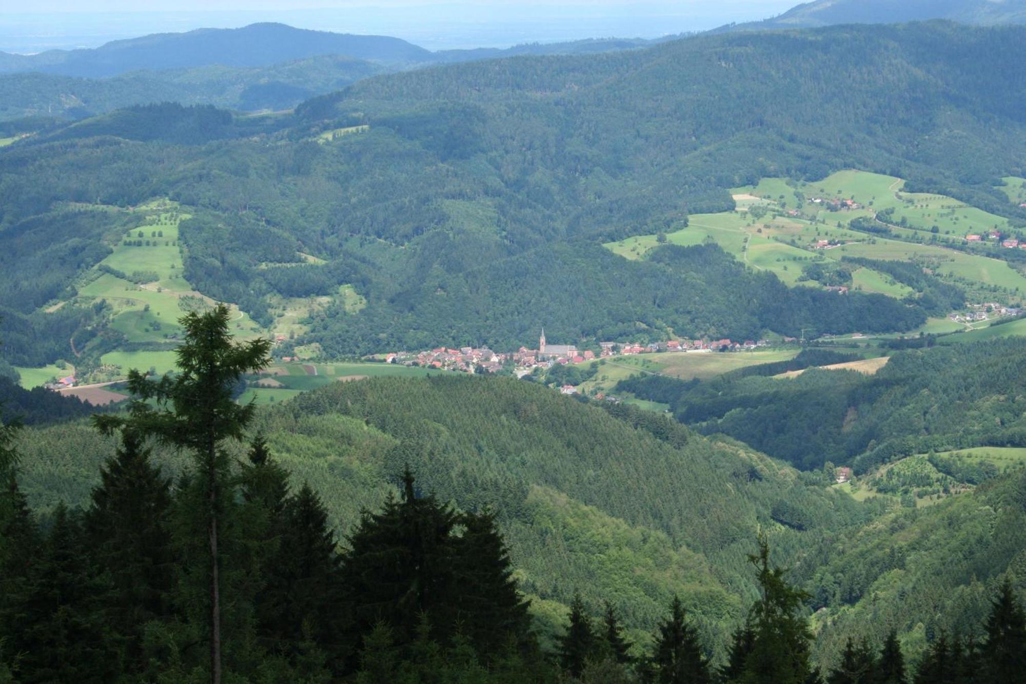Ferienwohnungen Golla-Lang Oberharmersbach Esterno foto