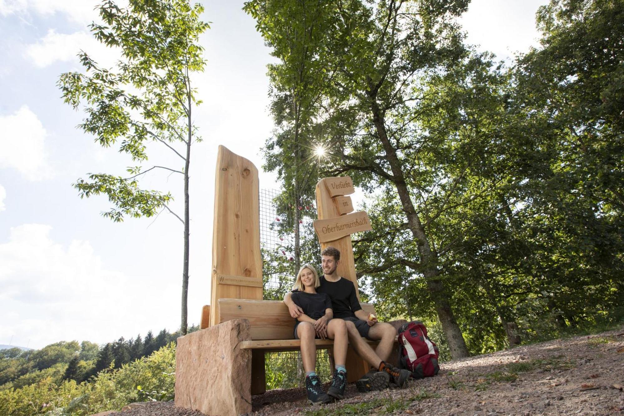 Ferienwohnungen Golla-Lang Oberharmersbach Esterno foto